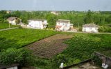 تبدیل اراضی کشاورزی به باغات برای تفریح افراد خاص!/ آب کشاورزی در اختیار ویلاداران