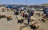 میدان دواب اهر در عید قربان میدان دواب اهر در عید قربان