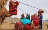 بازگشت عشایر سهند به مناطق قشلاقی
