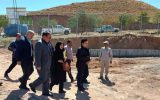 دادستان تبریز: بحران سگ‌های ولگرد با حفظ حقوق حیوانات رفع می‌شود