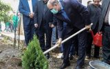 کاشت نهال در مدارس تبریز همزمان با آغاز سال تحصیلی جدید
