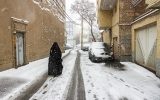 رخت سفید بر تن «تبریز»