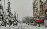 برف و باران در تهران و چندین استان/ هشدار آبگرفتگی معابر و اختلال در تردد محورهای برف‌گیر