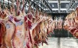 توزیع گوشت گوسفندی گرم تنظیم بازار در بین قصابان امین
