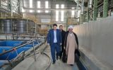طرح تولید مس کاتد از هیپ لیچینگ در مجتمع مس سونگون آماده بهره‌برداری است