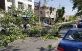 ‌وزش باد شدید و هشدار سقوط اشیاء ‌و شکستن‌ درختان در ۹ استان