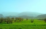 بارش باران در برخی شهرها و گرد و خاک در نوار شرقی کشور