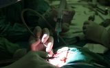 از انجام عمل‌های جراحی بدون دلیل تاارتباطات ناسالم با مراکز ام آر آی و سی تی اسکن