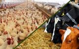 تجارت قراردادی در آذربایجان‌شرقی عملیاتی می‌شود