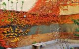 کاهش دما تا ۸ درجه در شمال شرق کشور