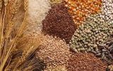 آذربایجان‌شرقی و کرمانشاه جزء استان‌هایی با بالاترین تنوع ژنتیکی ارقام بذری