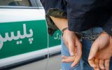 دستگیری سارقان خانه باغ و ساختمان‌های نیمه کاره در میانه
