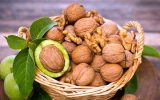 صادرات گردوی آذربایجان شرقی به حوزه خلیج فارس، آسیای میانه و روسیه