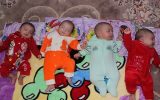 آذربایجان‌شرقی ۱۹۰۹ خانواده ۲ و ۳ قلو دارد