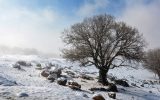 اختلاف دمای ۳۸ درجه‌ای دو نقطه کشور‌
