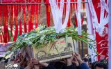 آرام گرفتن لاله سرخ حسینی در دانشگاه هنر اسلامی تبریز