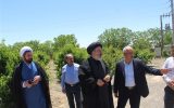 باغات وقفی آذربایجان شرقی باید احیا شوند