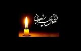 مادر شهیدان شریفی در تبریز به فرزندان شهیدش پیوست