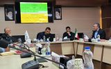 آذربایجان شرقی رتبه اول در تولید محصولات دیمی گندم