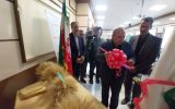 رونمایی از ۸ رقم بذر جدید موسسه تحقیقات کشاورزی دیم کشور در مراغه