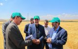 موسسه تحقیقات دیم کشور نقش مهمی در امنیت غذایی دارد