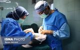 او زنده است در کالبد دیگری