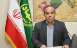 برداشت ۱۳۵۰ تن پسته از باغات اسکو