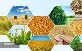 تدوین برنامه ملی کاهش هزینه تولید در بخش کشاورزی تدوین برنامه ملی کاهش هزینه تولید در بخش کشاورزی