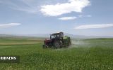 مبارزه با ملخ در بیش از ۸ هزار هکتار زمین کشاورزی آذربایجان شرقی مبارزه با ملخ در بیش از ۸ هزار هکتار زمین کشاورزی آذربایجان شرقی