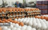 صادرات بیش از چهار هزار تن تخم‌مرغ از آذربایجان شرقی