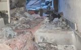 هفت باب مغازه در بازار تبریز طعمه حریق شد