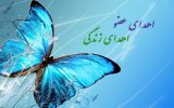 اهدای اعضای بیمار مرگ مغزی در مراغه 