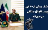 کشف و توقیف بیش از ۴۰ تن چوب جنگلی قاچاق در هوراند