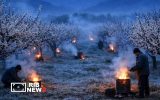 هشدار درباره موج سرمای فروردینی آذربایجان شرقی