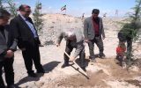 برگزاری پویش نهال امید در تبریز