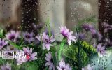تداوم فعالیت سامانه بارشی در آذربایجان شرقی