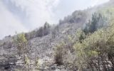مهار آتشسوزی در هفت هکتار از عرصههای جنگلی پارک ملی ارسباران آذربایجان شرقی مهار آتشسوزی در هفت هکتار از عرصههای جنگلی پارک ملی ارسباران آذربایجان شرقی